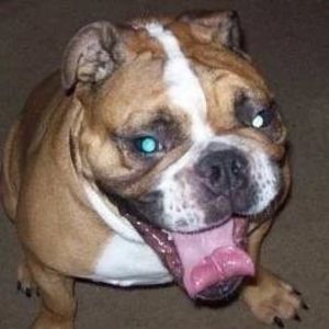 Meet your Posher, Mikel